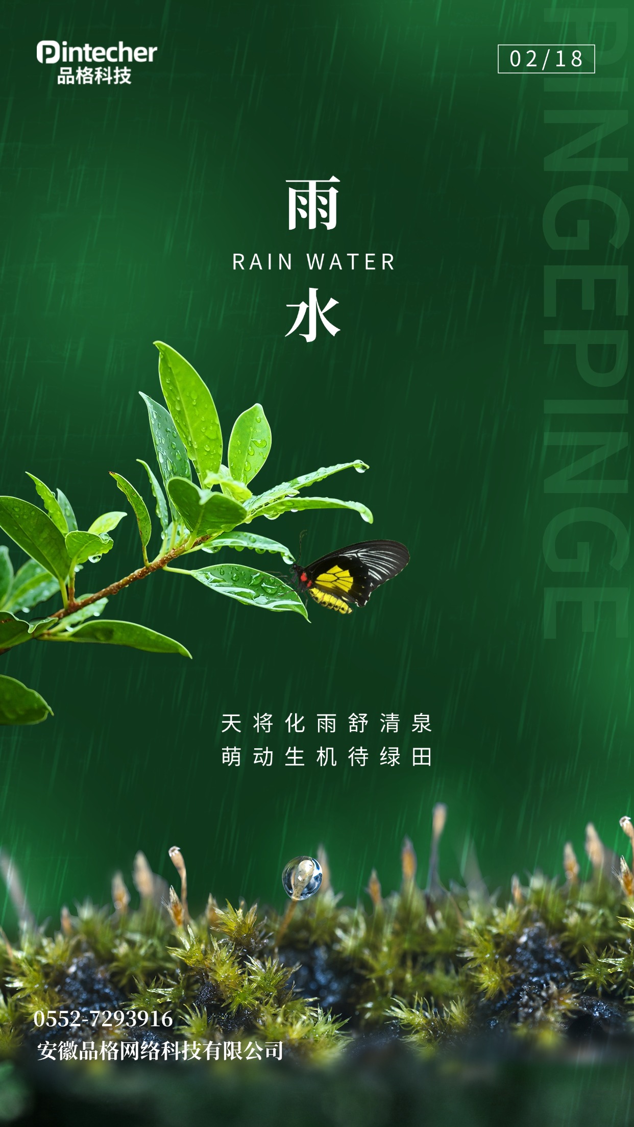 雨水海报.jpg